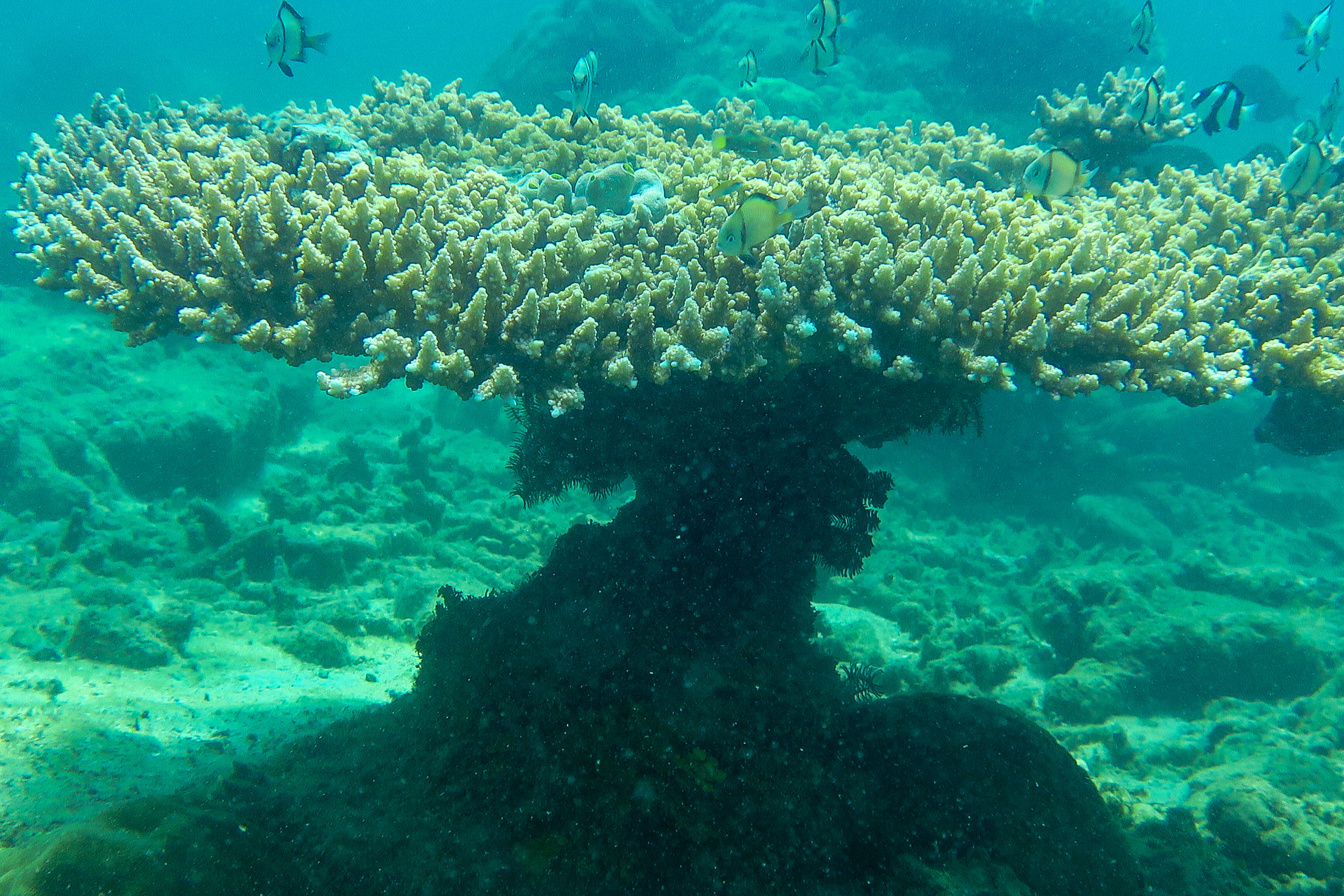 89926992_Unknown (1)