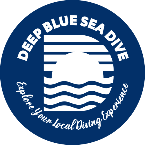 Deep Blue Sea Dive