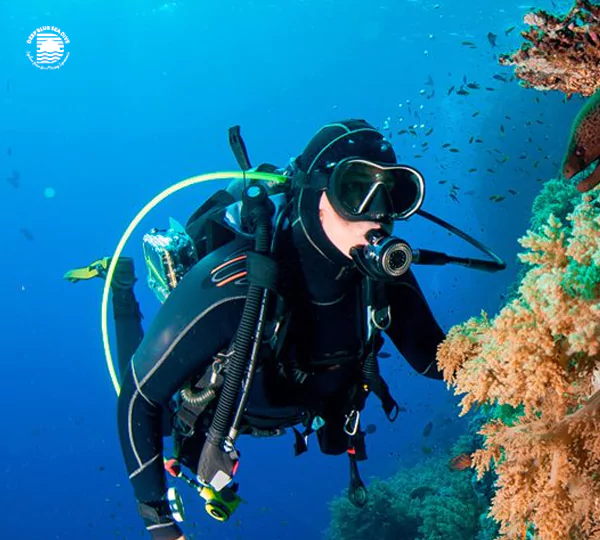 Improve skills with night, deep, wreck, and navigation dives, exploring more challenging underwater adventures.