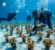 coral-planting-program-6891757ba075d