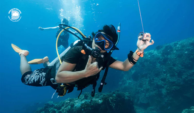 fun-dive-in-lombok-swim-with-turtles-explore-beautiful-coral-gardens-68905cff48cf1 fun-dive-in-lombok-swim-with-turtles-explore-beautiful-coral-gardens-68905cff48cf1