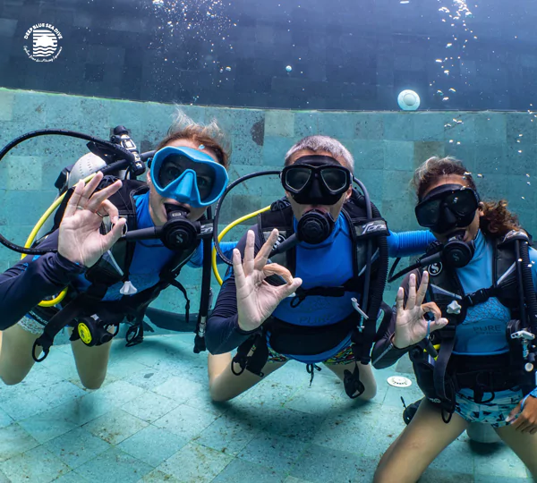 Open Water Course Learn diving skills through theory, shallow practice, and open sea dives, earning an internationally recognized diving certification.