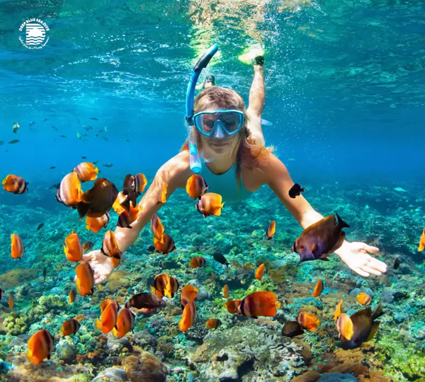 snorkeling-tour-6891757e7a896