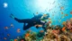 the-ultimate-list-top-spots-for-advanced-diving-in-lombok-you-must-try-68905ac3cd3ad
