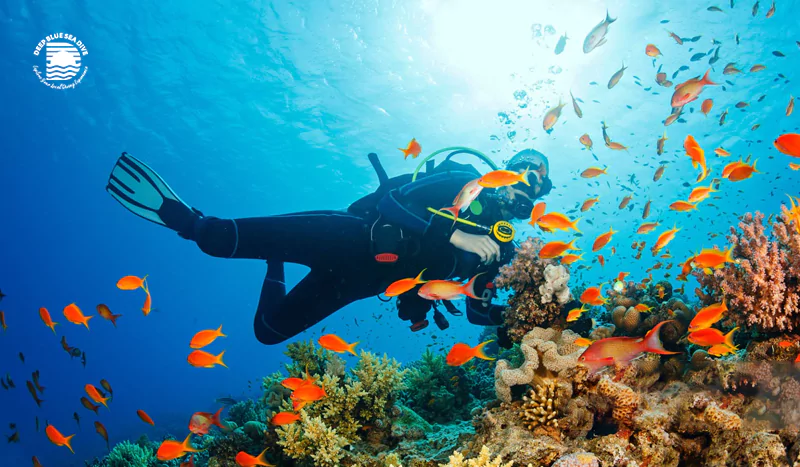 the-ultimate-list-top-spots-for-advanced-diving-in-lombok-you-must-try-68905ac3cd3ad