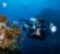 underwater-photography-trip-68917579d600e