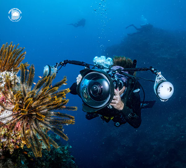 underwater-photography-trip-68917579d600e